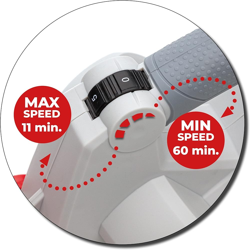 Ikra Aspirateur-souffleur à batterie ICBV 2/20, 2x batteries, 1x double charger rapide, 2x sac de ramassage inclus : Jardin