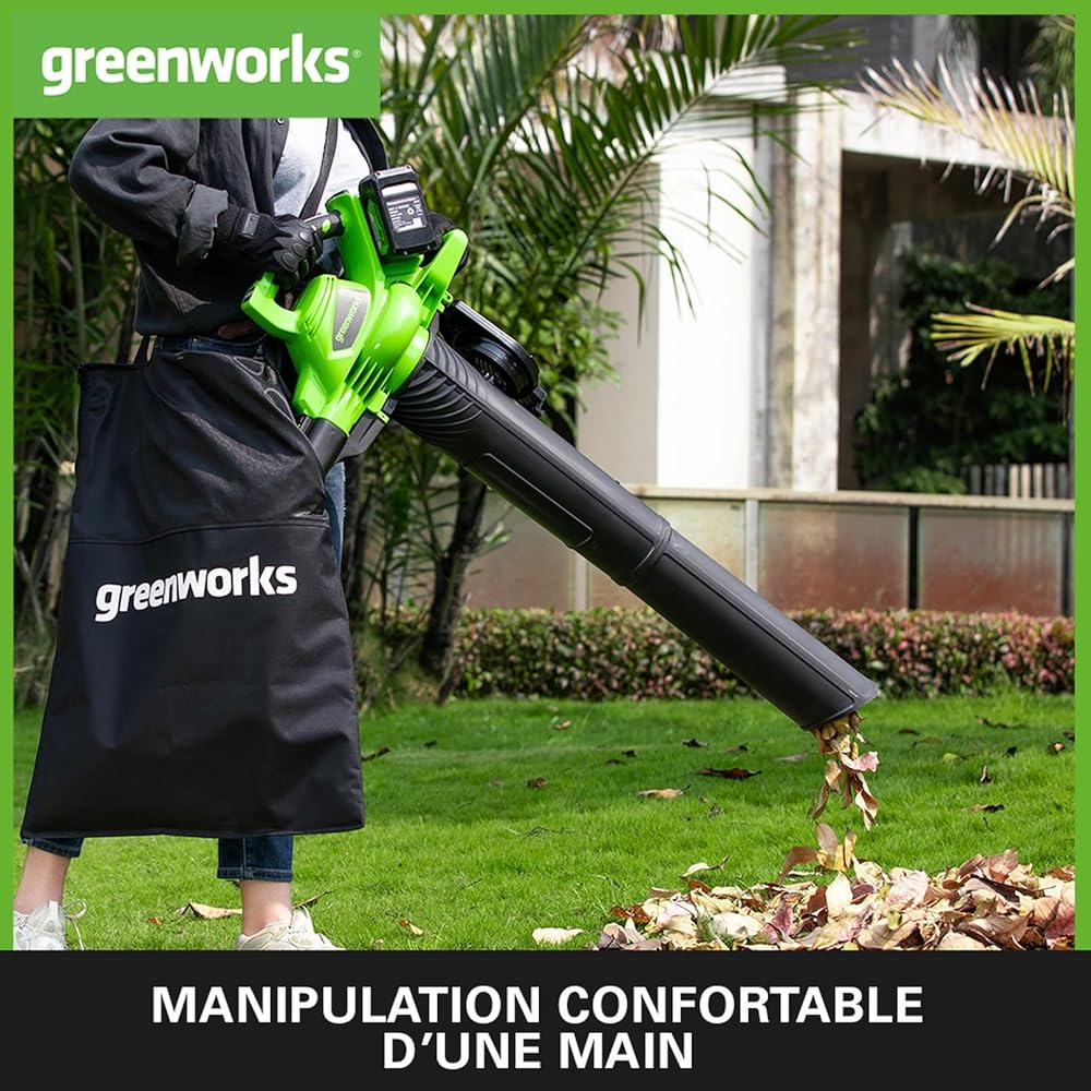 Greenworks Aspirateur souffleur 2x24V 322km/h avec 2 batteries