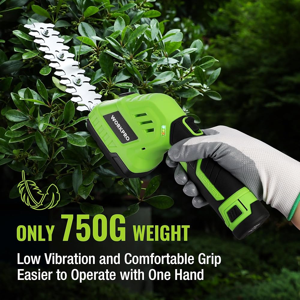 WORKPRO Cisaille Sculpte-Haie Electrique, Taille-Herbes sans Fil 12V, Taille Haie Batterie 2000mAh, avec 2 Lames, Cisaille à Gazon Léger pour Coupe, Elagage, Noir & Vert : Jardin