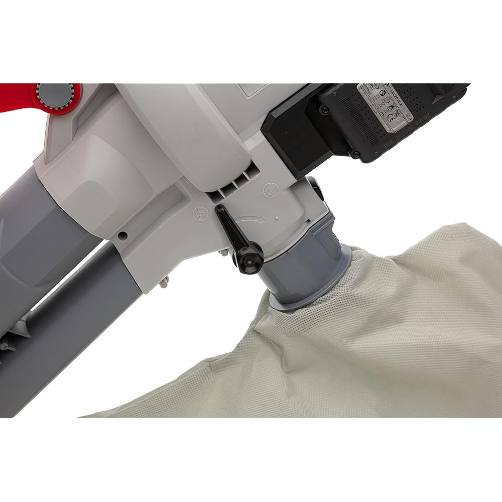 Ikra Aspirateur-souffleur à batterie ICBV 2/20, 2x batteries, 1x double charger rapide, 2x sac de ramassage inclus : Jardin