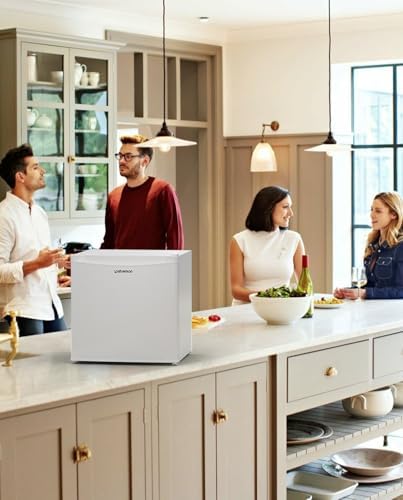 Upstreman 46L Mini frigo avec congélateur