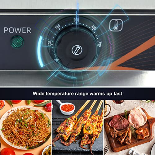 DULNICE Plancha électrique professionnelle inox 3000W