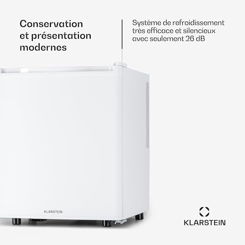 Klarstein Mini frigo de chambre 30L silencieux, réglable 5-15°C