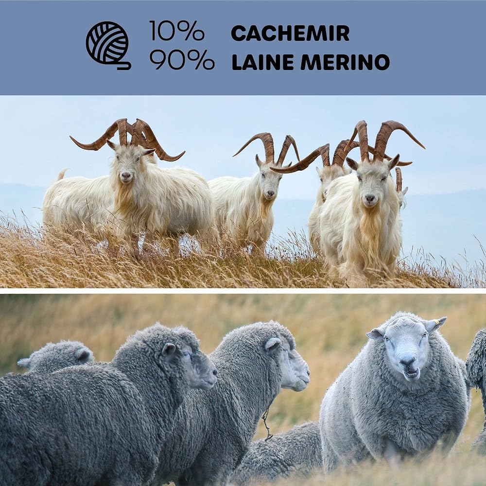 Couverture en Laine Mérinos 140x200 avec 10% Cachemire – Plaid en Laine Merinos Chaud et Léger pour Lit, Adapté pour Hiver et Été, Jeté Élégant avec Franges – Nostra Andora : Cuisine et Maison
