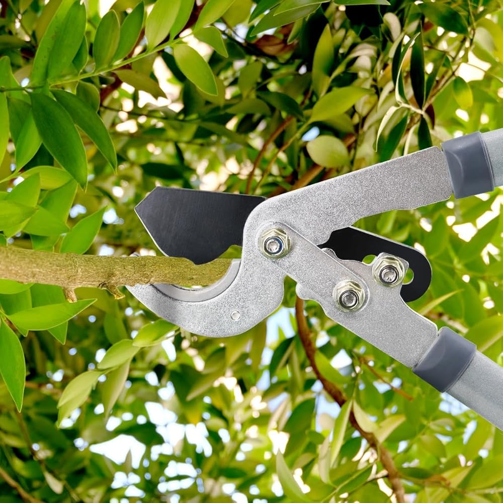 Hortem Lot de 3 outils de jardin - Sécateur de 72 cm, Cisaille à haies de 58 cm et Élagueur de 20 cm : Jardin