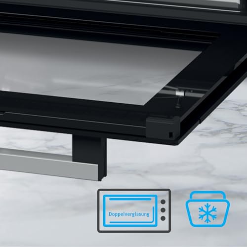 ICQN Mini four électrique 60L multifonction 2000W