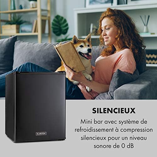 Klarstein Mini frigo de chambre 30L silencieux, réglable 5-15°C