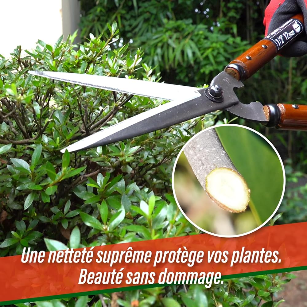 SUIZAN Cisaille à haies 575mm - Sécateur de jardin professionnel japonais à deux mains pour une taille précise : Jardin