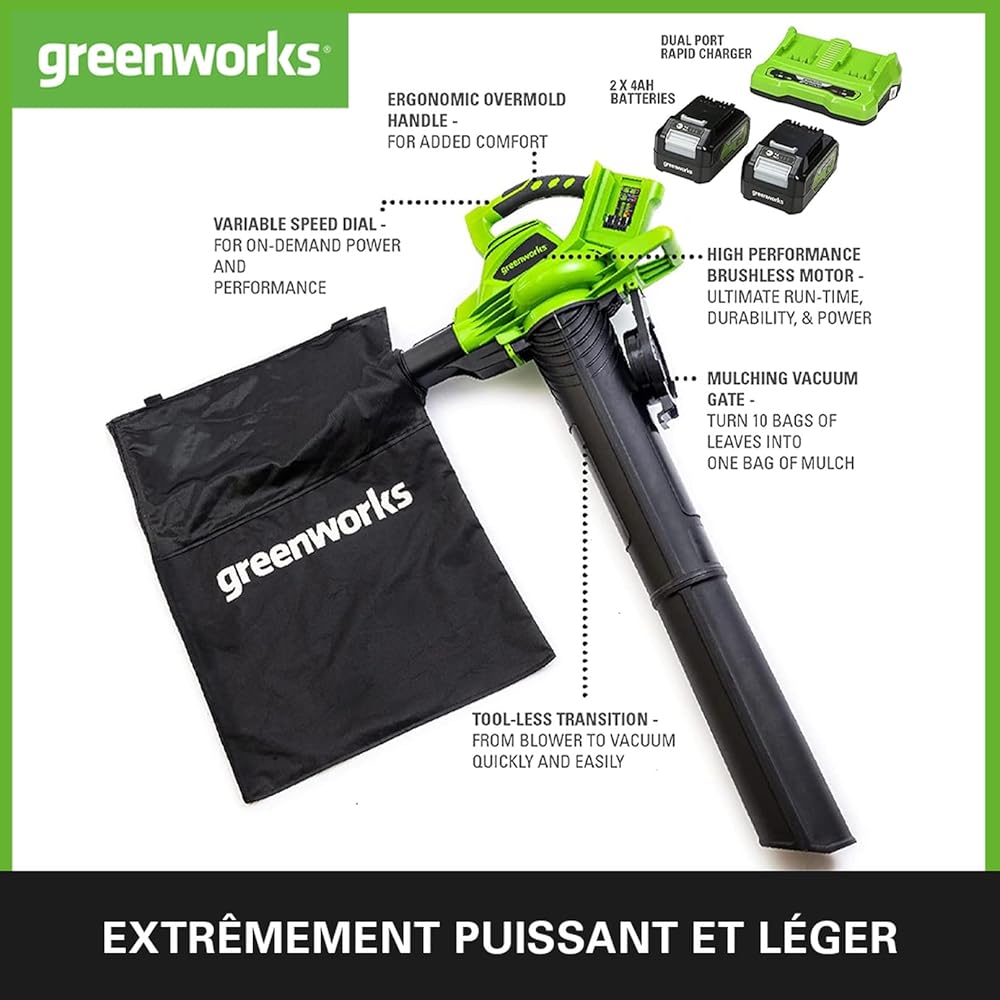 Greenworks Aspirateur souffleur 2x24V 322km/h avec 2 batteries