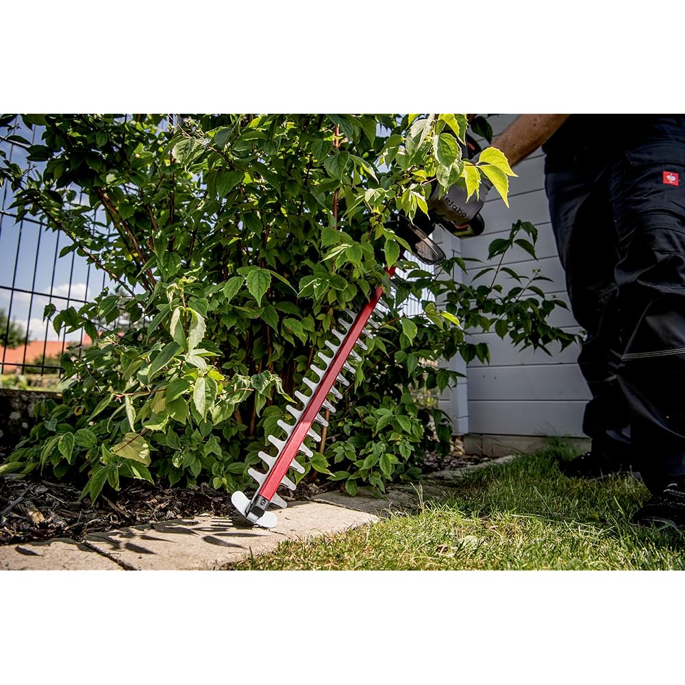 Metabo HS 18 LTX 55 V Solo Taille-haie sans Fil : Jardin